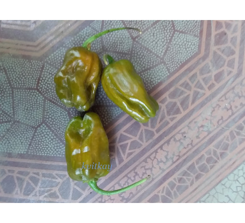 Насіння перцю гострого Habanero Green